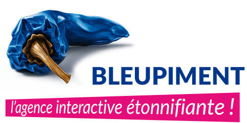Bleupiment, L’agence interactive étonnifiante !