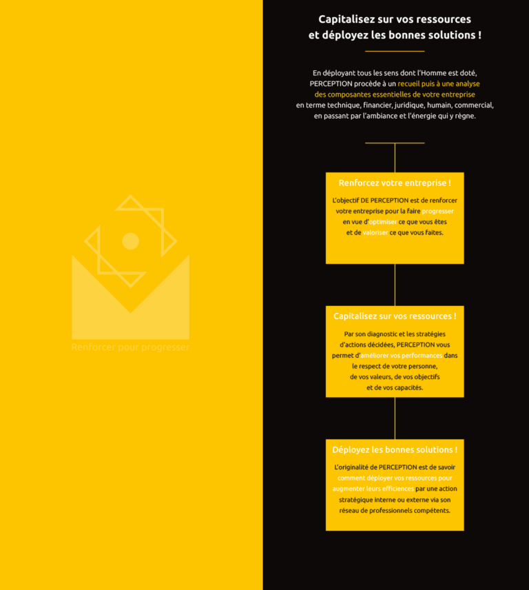 Stratégie de marque exemple d'une plaquette