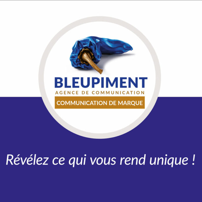 Bleupiment accompagne les entreprises dans leur stratégie de marque