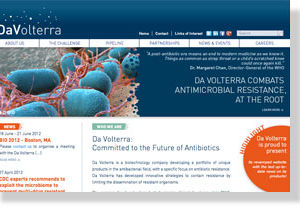 site-internet-davolterra Site web davolterra
