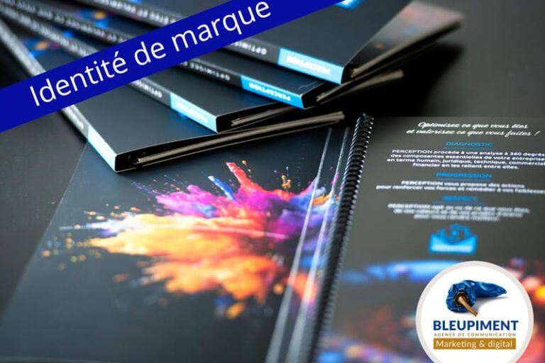 Identité de marque : plaquette PERCEPTION