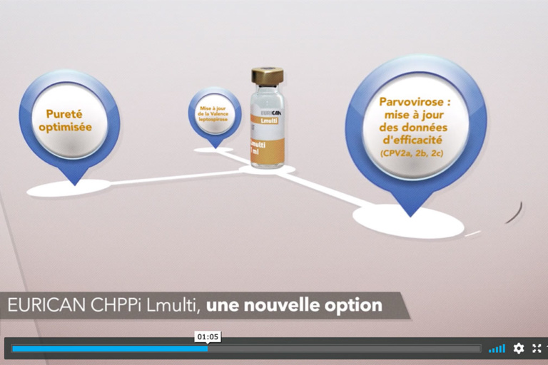 Motion design MERIAL