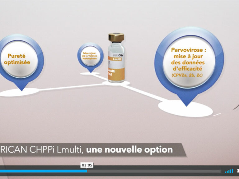 Motion design MERIAL