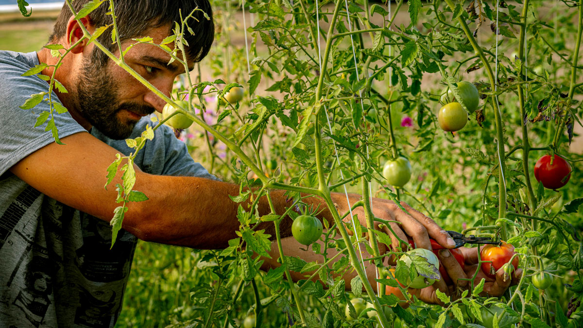 plateforme de mise en relation entre agriculteurs