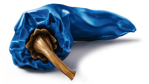 Agence de com' BLEUPIMENT piment bleu