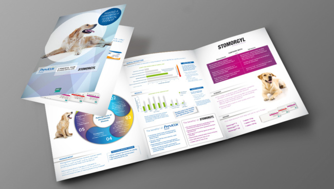 Plaquette 3 volets technique à destination des vétérinaires