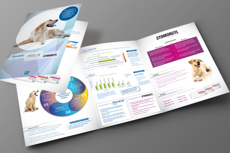 Plaquette 3 volets technique à destination des vétérinaires