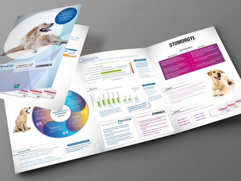 Plaquette 3 volets technique à destination des vétérinaires