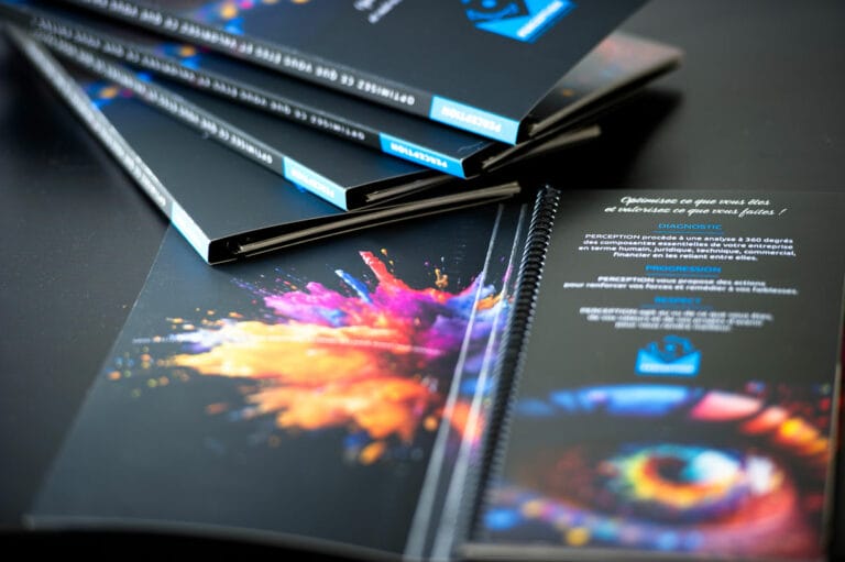 Identité de marque : plaquette PERCEPTION